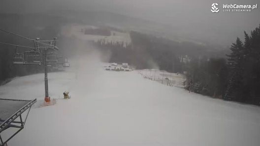 Ujęcie na stok TYLICZ.SKI zobacz online.