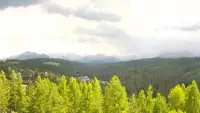 Panoramiczny obraz na żywo na hotel Bukovina Terma&Spa