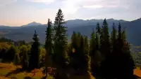 Widok z kamery na górnej stacji PKL na Butorowym Wierchu