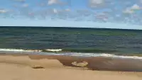Widok na plażę w Chłapowie