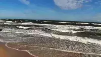 Widok na plażę w Chłapowie