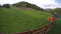 Kamera prezentuje obraz na stok Czarnów ski