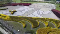 Widok z Kamery na Park Rozrywki na żywo