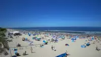 Jantar - widok na złocistą i słoneczną plaże.