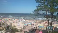 Widok z kamery na plażę w Stegnie to prawdziwa zachęta do wypoczynku.