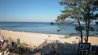Widok z kamery na plażę w Stegnie to prawdziwa zachęta do wypoczynku.