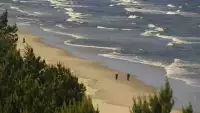 Widok na plażę i morze w Kątach Rybackich - zobacz