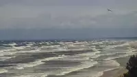 Widok na plażę i morze w Kątach Rybackich - zobacz