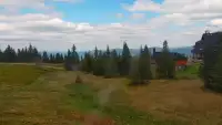 Kamera na Hali Miziowej - zobacz obraz na żywo