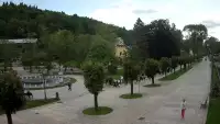 Widok na centrum Krynicy-Zdroju deptak, ścieżka, drzewa.
