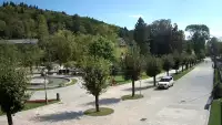 Widok na centrum Krynicy-Zdroju deptak, ścieżka, drzewa.