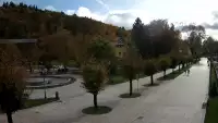 Widok na centrum Krynicy-Zdroju deptak, ścieżka, drzewa.