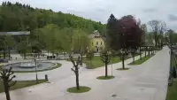 Widok na centrum Krynicy-Zdroju deptak, ścieżka, drzewa.
