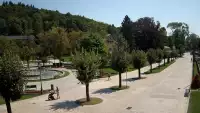 Widok na centrum Krynicy-Zdroju deptak, ścieżka, drzewa.