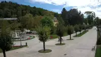 Widok na centrum Krynicy-Zdroju deptak, ścieżka, drzewa.