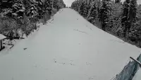 Widok na trasę zjazdową w Stacji Narciarskiej Myślenice-ski