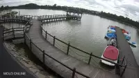 Widok na staw Molo w Osieku - KAMERA LIVE