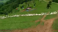 Widok z Kamery Palenica-Szafranówka