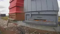 Widok na wlot do ula