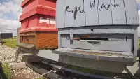 Widok na wlot do ula