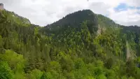 Widok na żywo na panoramę Sromowców Niżnych i rzekę Dunajec