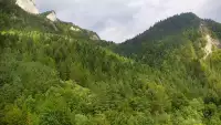 Widok na żywo na panoramę Sromowców Niżnych i rzekę Dunajec