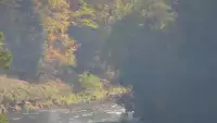 Widok na żywo na panoramę Sromowców Niżnych i rzekę Dunajec