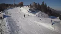Zdjęcie z kamery na górną stację w ośrodku narciarskim Skolnity ski w Wiśle.