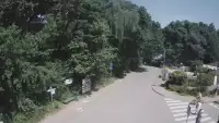 Ujęcie na część deptaka w Wiciu nad morzem