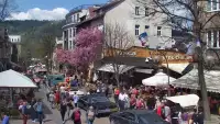 Krupówki - Camera on the promenade in Zakopane