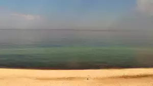 Widok na plażę w Chłapowie