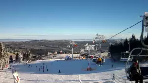 Zieleniec Gryglówka - widok z kamery na stok