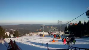 Zieleniec Gryglówka - widok z kamery na stok