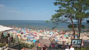 Widok z kamery na plażę w Stegnie to prawdziwa zachęta do wypoczynku.