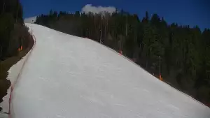 Widok na trasę narciarską nr6 w Kotelnicy Białczańskiej