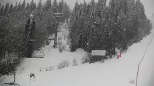 Widok na trasę narciarską nr6 w Kotelnicy Białczańskiej