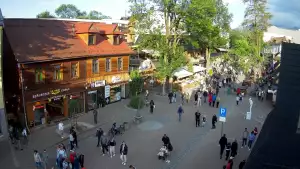 Kamera Zakopane na żywo widok na deptak