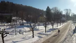 Widok na centrum Krynicy-Zdroju deptak, ścieżka, drzewa.