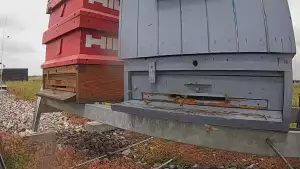 Widok na wlot do ula