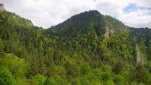 Widok na żywo na panoramę Sromowców Niżnych i rzekę Dunajec