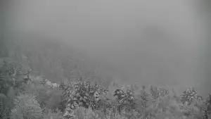 Widok na żywo na panoramę Sromowców Niżnych i rzekę Dunajec