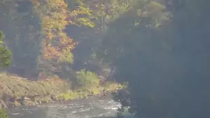 Widok na żywo na panoramę Sromowców Niżnych i rzekę Dunajec