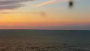 Kamery nad morzem na szeroką plażę i falochrony w Świnoujściu.