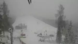 Widok z Kamery na stok narciarski Szczawnica Palenica