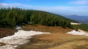 Widok ze Zbójnickiej Kopy w Szczyrku.