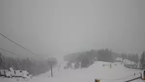 Widok z Kamery na trasy zjazdowe na Polanie Szymoszkowej w Zakopanem