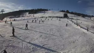 Widok na stok BARTUŚ W ZIELEŃCU - KAMERA LIVE