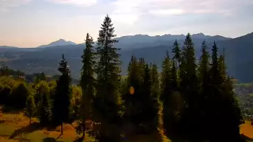 Widok z kamery na górnej stacji PKL na Butorowym Wierchu