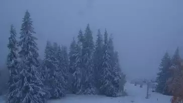 Widok z kamery na górnej stacji PKL na Butorowym Wierchu