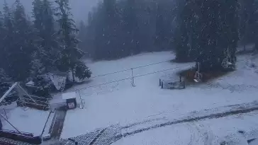 Widok z kamery na górnej stacji PKL na Butorowym Wierchu